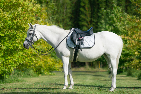 Silver Glitter Saddle Pads - Jump, GP, and Dressage cuts