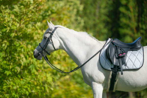 Silver Glitter Saddle Pads - Jump, GP, and Dressage cuts