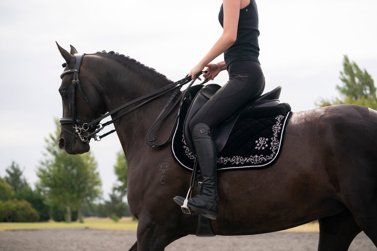 Black & Silver Velvet Baroque Saddle Pads - GP, Jump, and Dressage Cuts