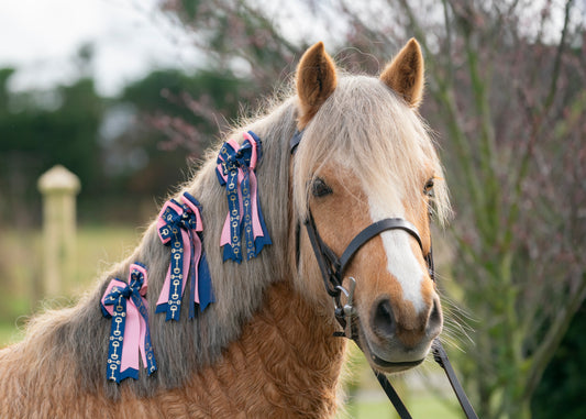 Equestrian Bows