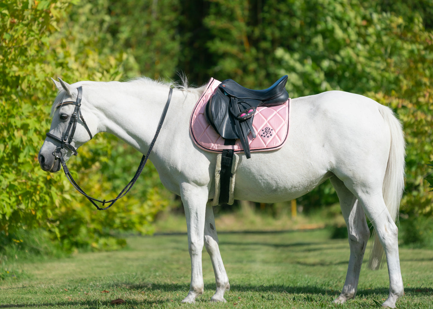 Blush Pink Satin Saddle Pads - Jump, GP, and Dressage cuts