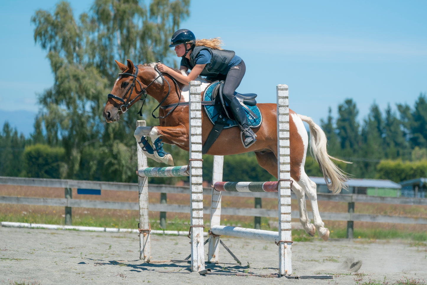 Teal Glitter Jump Saddle Pad