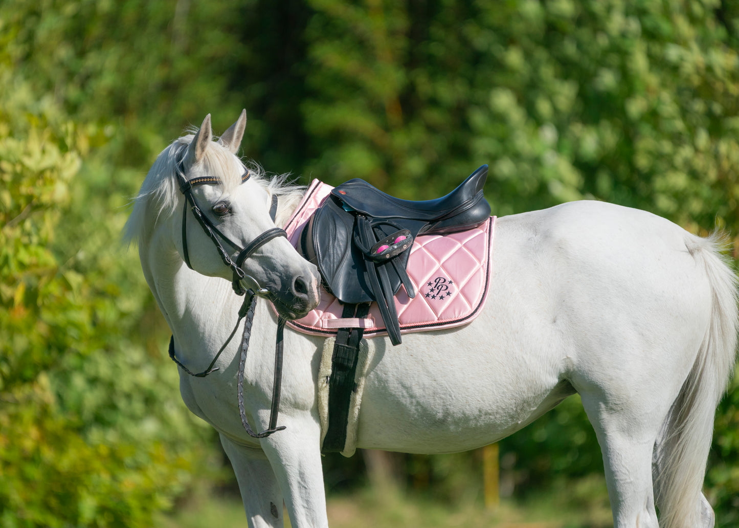 Blush Pink Satin Saddle Pads - Jump, GP, and Dressage cuts