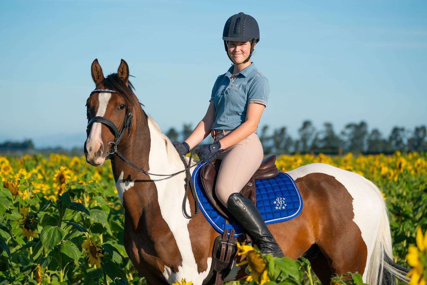 Royal Blue Saddle Pads - Jump, GP, and Dressage cuts