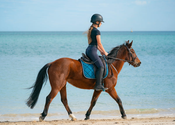 Teal Glitter Dressage Saddle Pad
