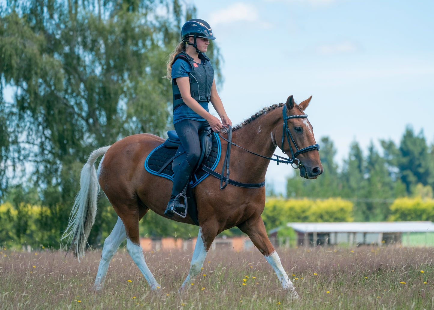 Black/Turquoise Saddle Pads - Jump, GP, and Dressage cuts