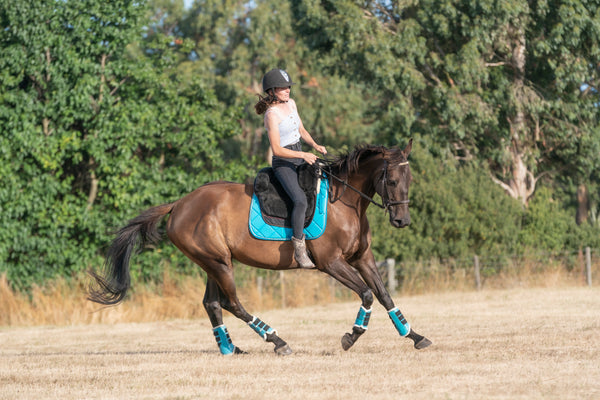 Turquoise Saddle Pads - Jump, GP, and Dressage cuts