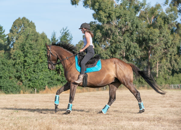 Turquoise Saddle Pads - Jump, GP, and Dressage cuts