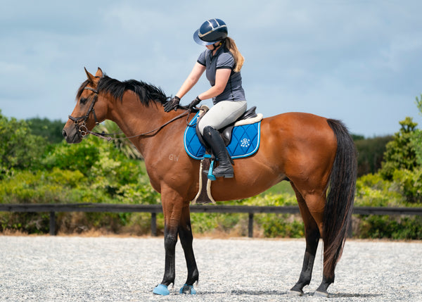 Topaz/Turquoise Saddle Pads - Jump, GP, and Dressage cuts