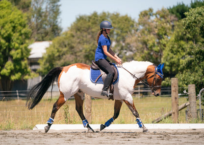 Royal Blue Saddle Pads - Jump, GP, and Dressage cuts