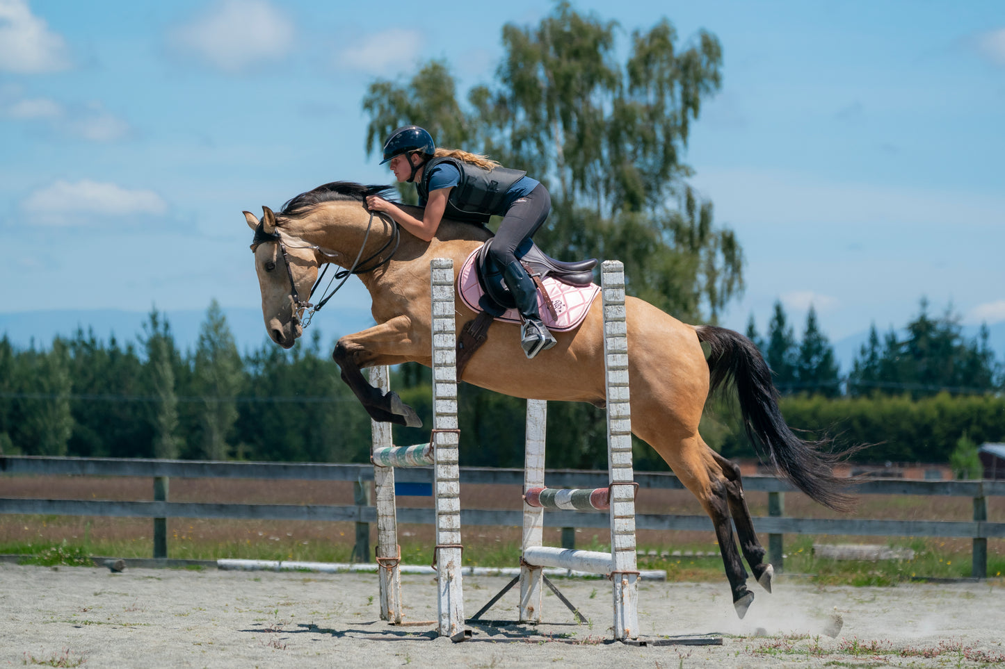 Blush Pink Satin Saddle Pads - Jump, GP, and Dressage cuts