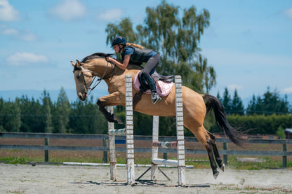 Blush Pink Satin Saddle Pads - Jump, GP, and Dressage cuts