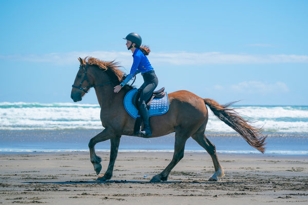 Cornflower/Baby Blue Saddle Pads - Jump, GP, and Dressage cuts