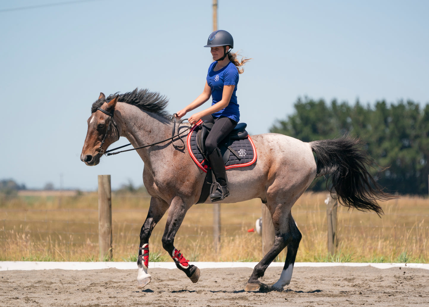 Navy/Red/White Saddle Pads - Jump, GP, and Dressage cuts