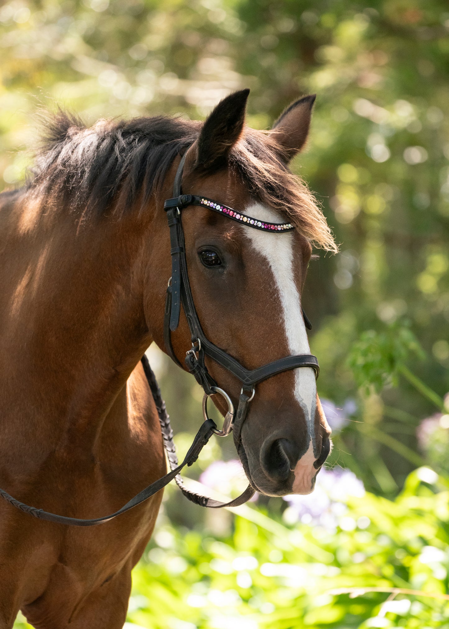 "Ronnie" Premium Bling Browbands