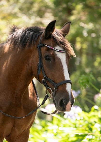 "Ronnie" Premium Bling Browbands