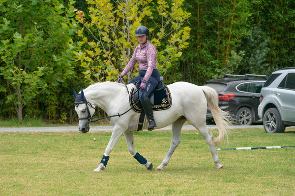 Navy Velvet Baroque Saddle Pads - GP, Jump, and Dressage Cuts