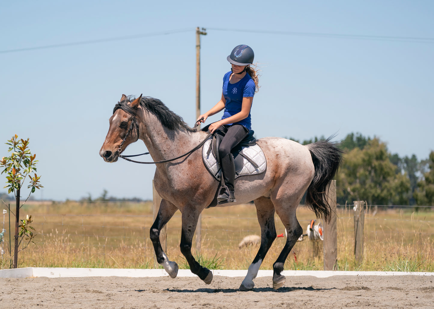 Silver Glitter Saddle Pads - Jump, GP, and Dressage cuts
