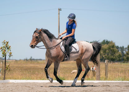 Silver Glitter Saddle Pads - Jump, GP, and Dressage cuts