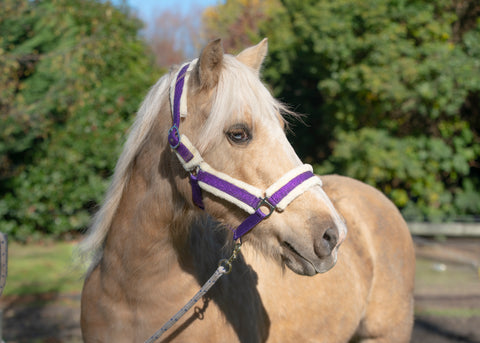 SECONDS - Glitter Halter