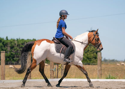 Black Glitter Jump Saddle Pad