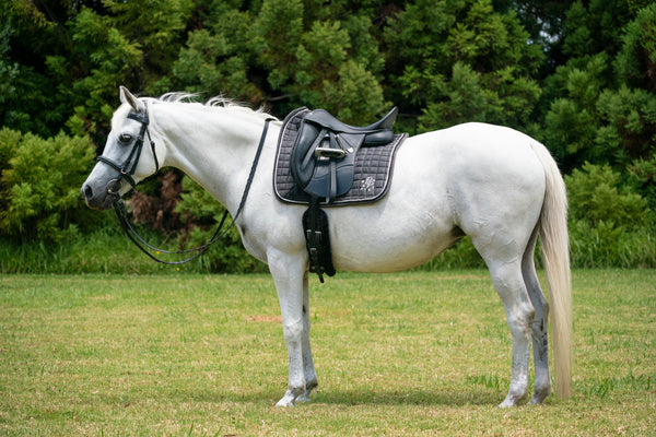 "Sake" Grey Suede Dressage Pad