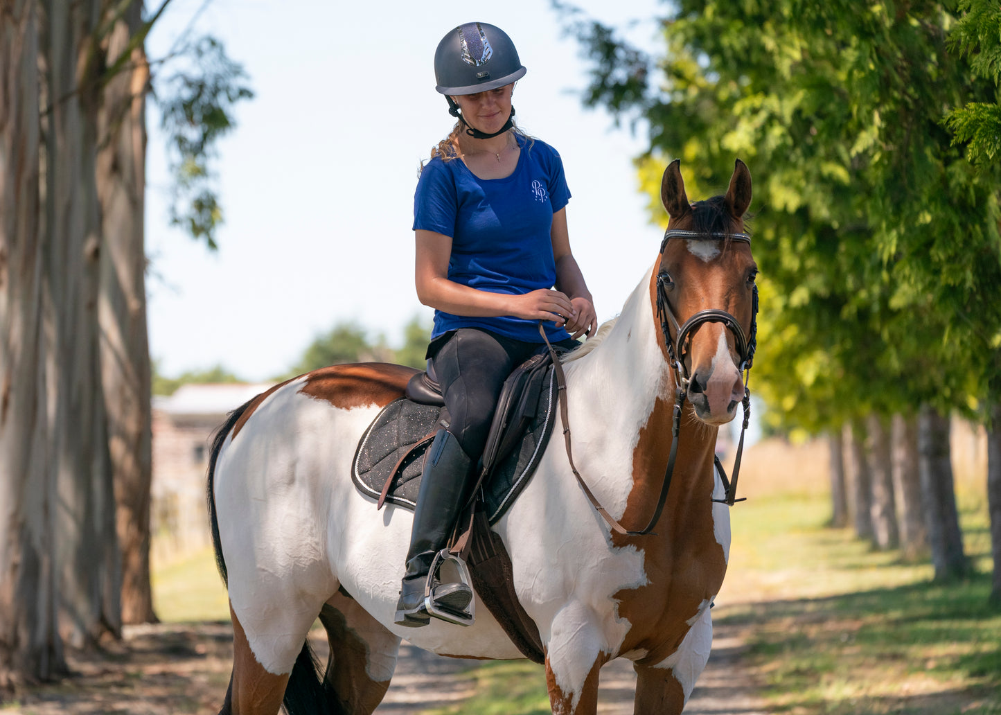 Black Glitter Jump Saddle Pad