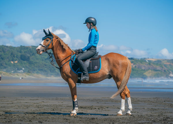 Black/Turquoise Saddle Pads - Jump, GP, and Dressage cuts