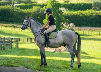 Aurora Colour Changing Saddle Pads - Jump, GP, and Dressage cuts