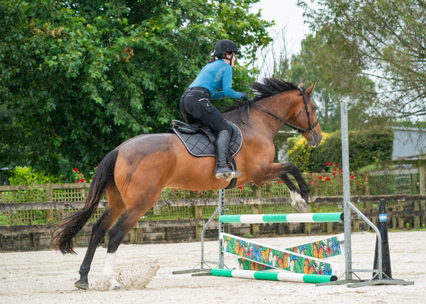 Black Glitter Jump Saddle Pad