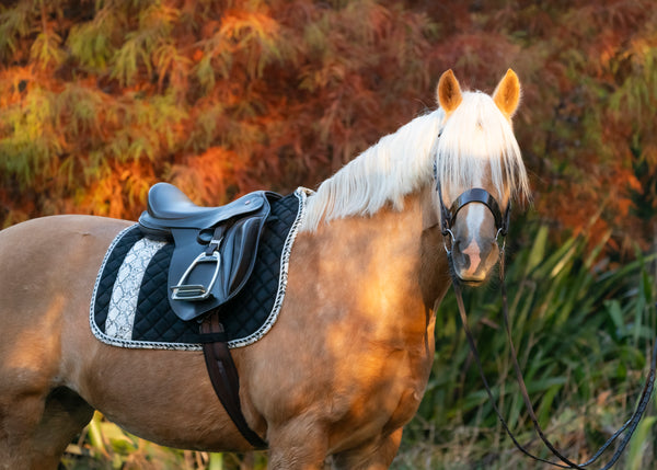 Black Snakeskin Suede Dressage Pad