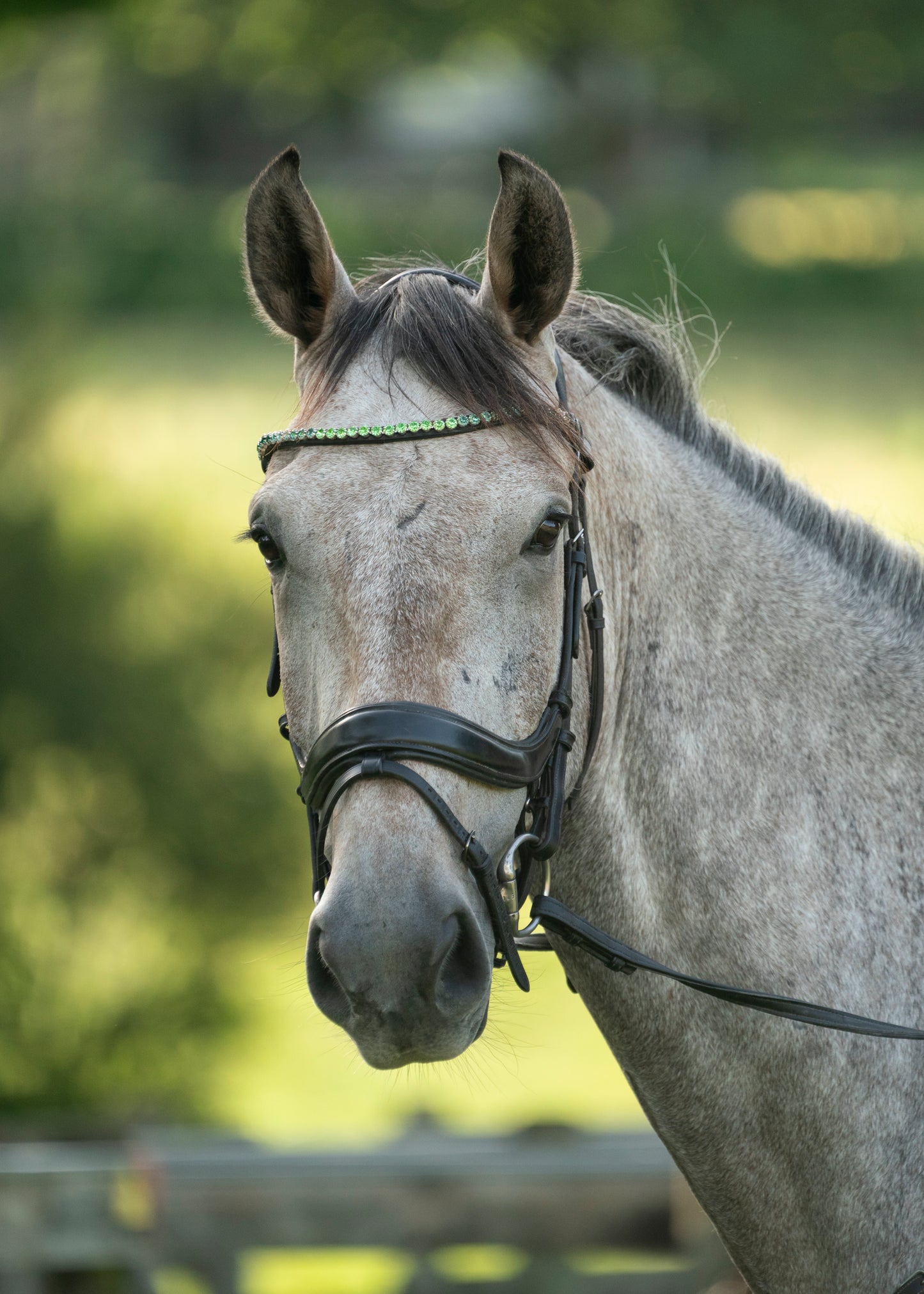 Ombre Coloured Premium Bling Browbands