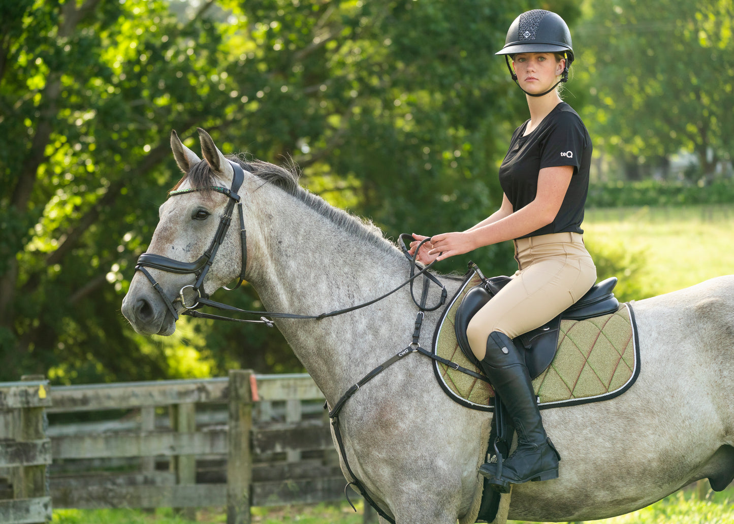 Aurora Colour Changing Saddle Pads - Jump, GP, and Dressage cuts