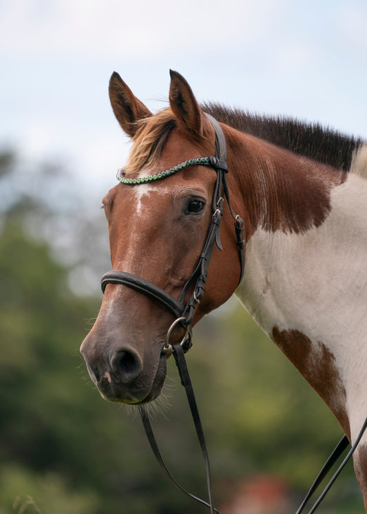 Ombre Coloured Premium Bling Browbands