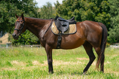 Aurora Colour Changing Saddle Pads - Jump, GP, and Dressage cuts