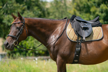 Aurora Colour Changing Saddle Pads - Jump, GP, and Dressage cuts