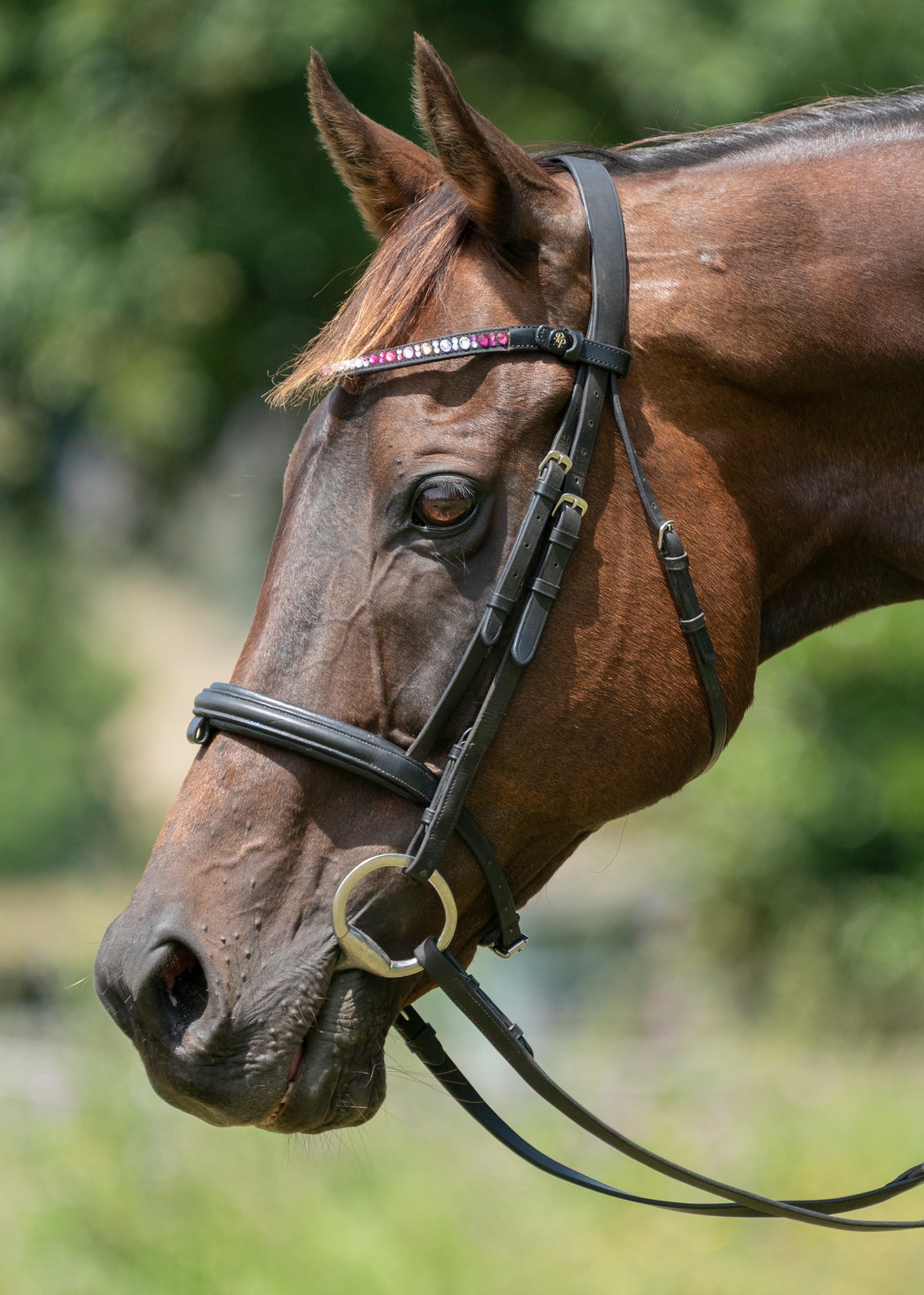"Ronnie" Premium Bling Browbands