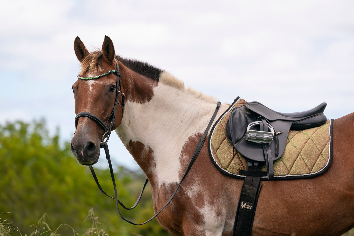 Aurora Colour Changing Saddle Pads - Jump, GP, and Dressage cuts
