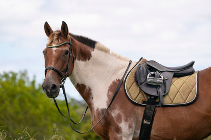 Aurora Colour Changing Saddle Pads - Jump, GP, and Dressage cuts