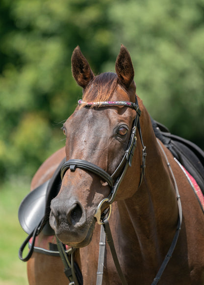 "Ronnie" Premium Bling Browbands