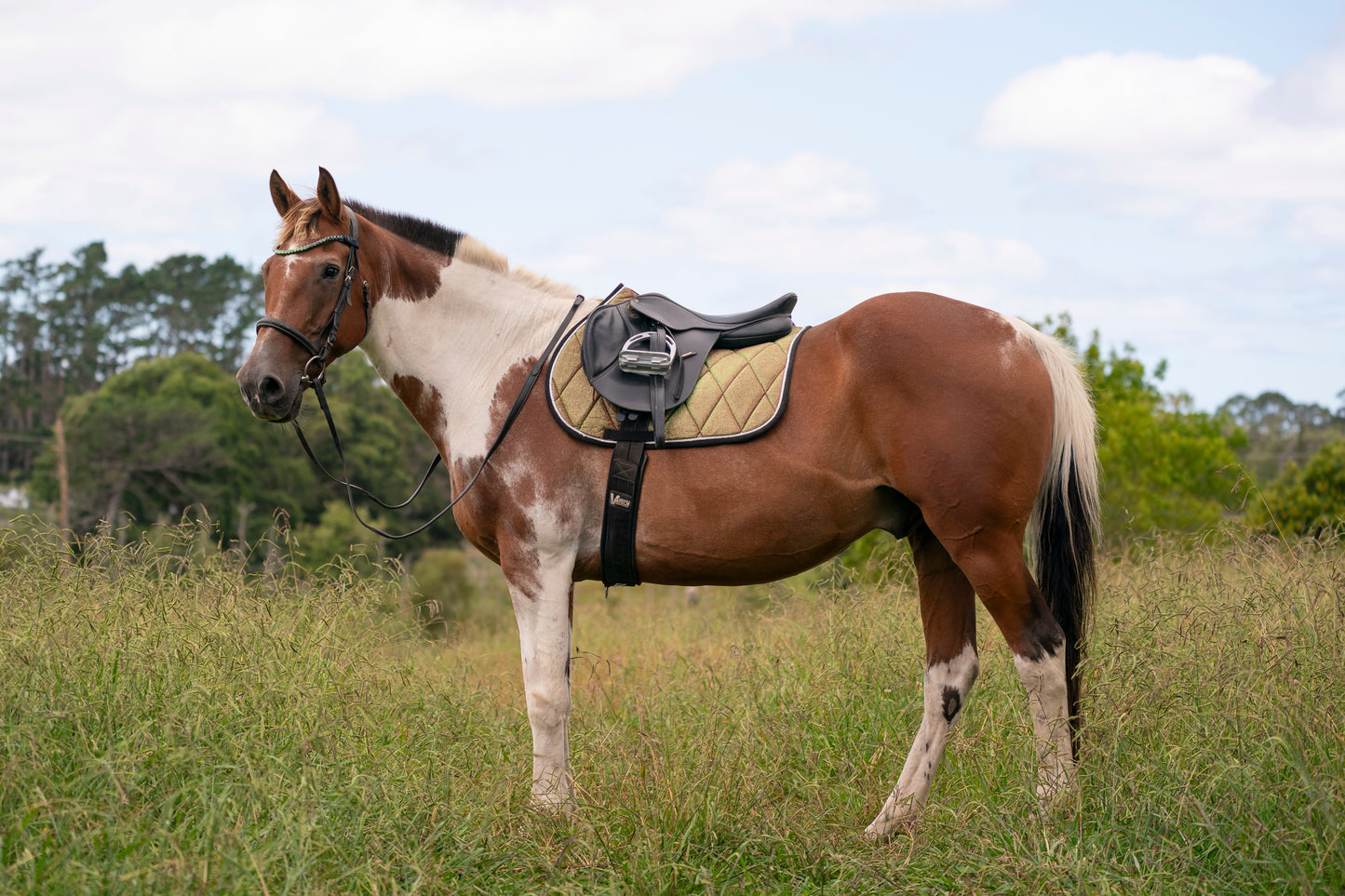 Aurora Colour Changing Saddle Pads - Jump, GP, and Dressage cuts