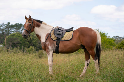 Aurora Colour Changing Saddle Pads - Jump, GP, and Dressage cuts