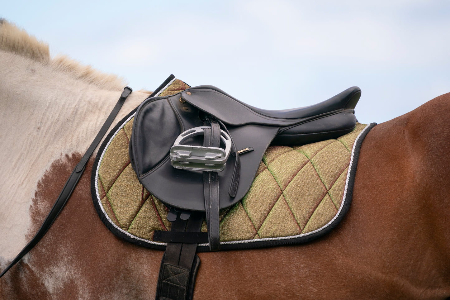 Aurora Colour Changing Saddle Pads - Jump, GP, and Dressage cuts