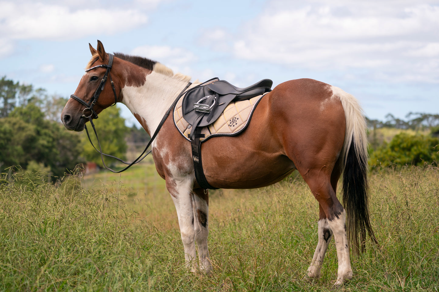 Tropical Sunset Colour Changing Saddle Pads - Jump, GP, and Dressage cuts
