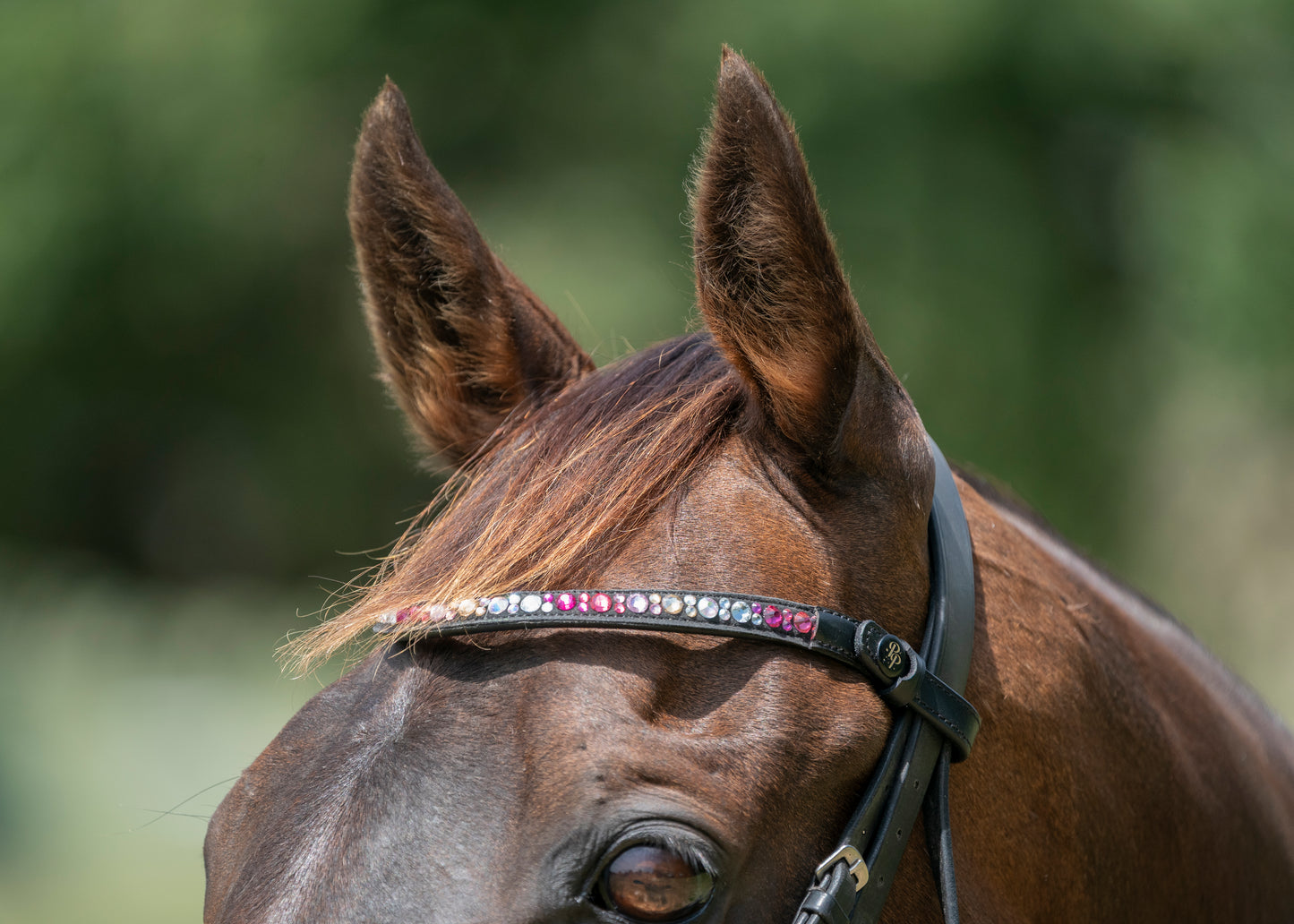 "Ronnie" Premium Bling Browbands