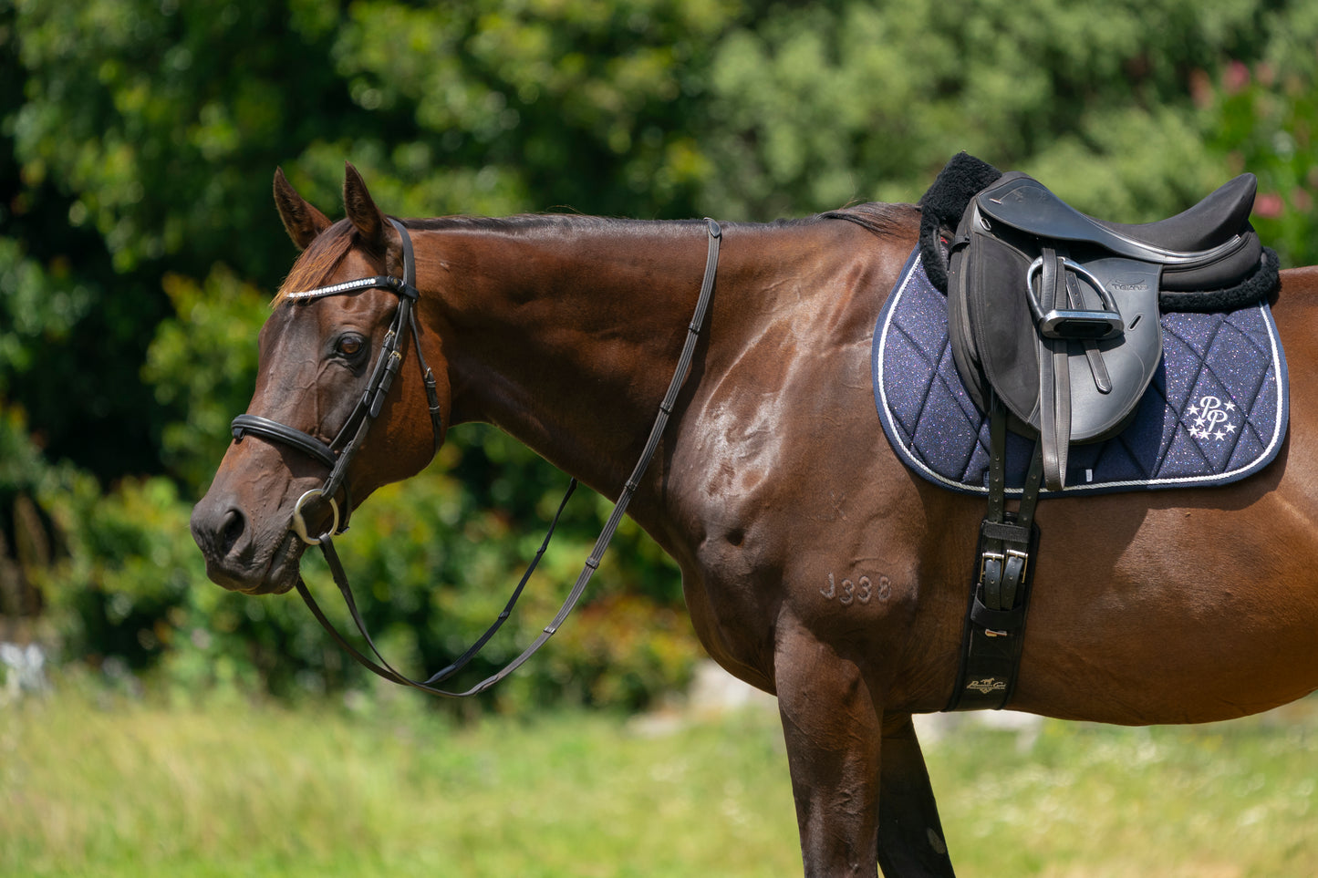 Navy Glitter GP Saddle Pad