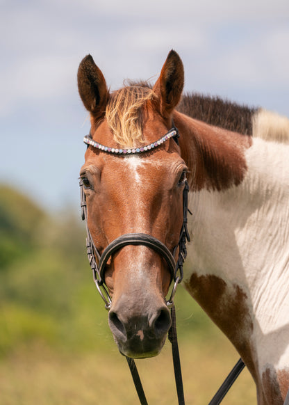 "Delphi" Premium Bling Browbands