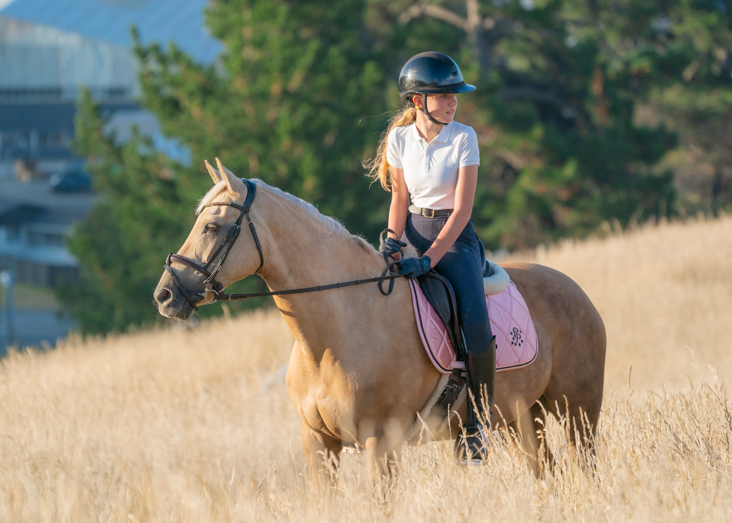 Blush Pink Satin Saddle Pads - Jump, GP, and Dressage cuts