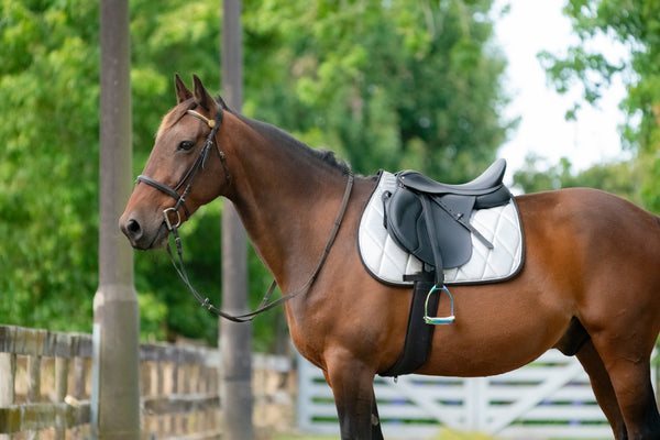 Silver Glitter Saddle Pads - Jump, GP, and Dressage cuts