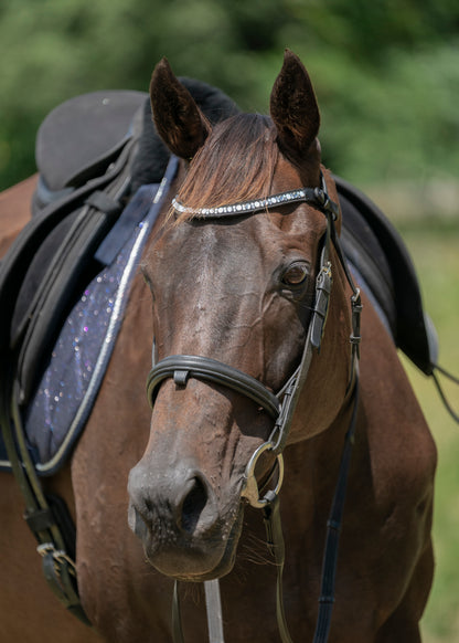 "Ronnie" Premium Bling Browbands